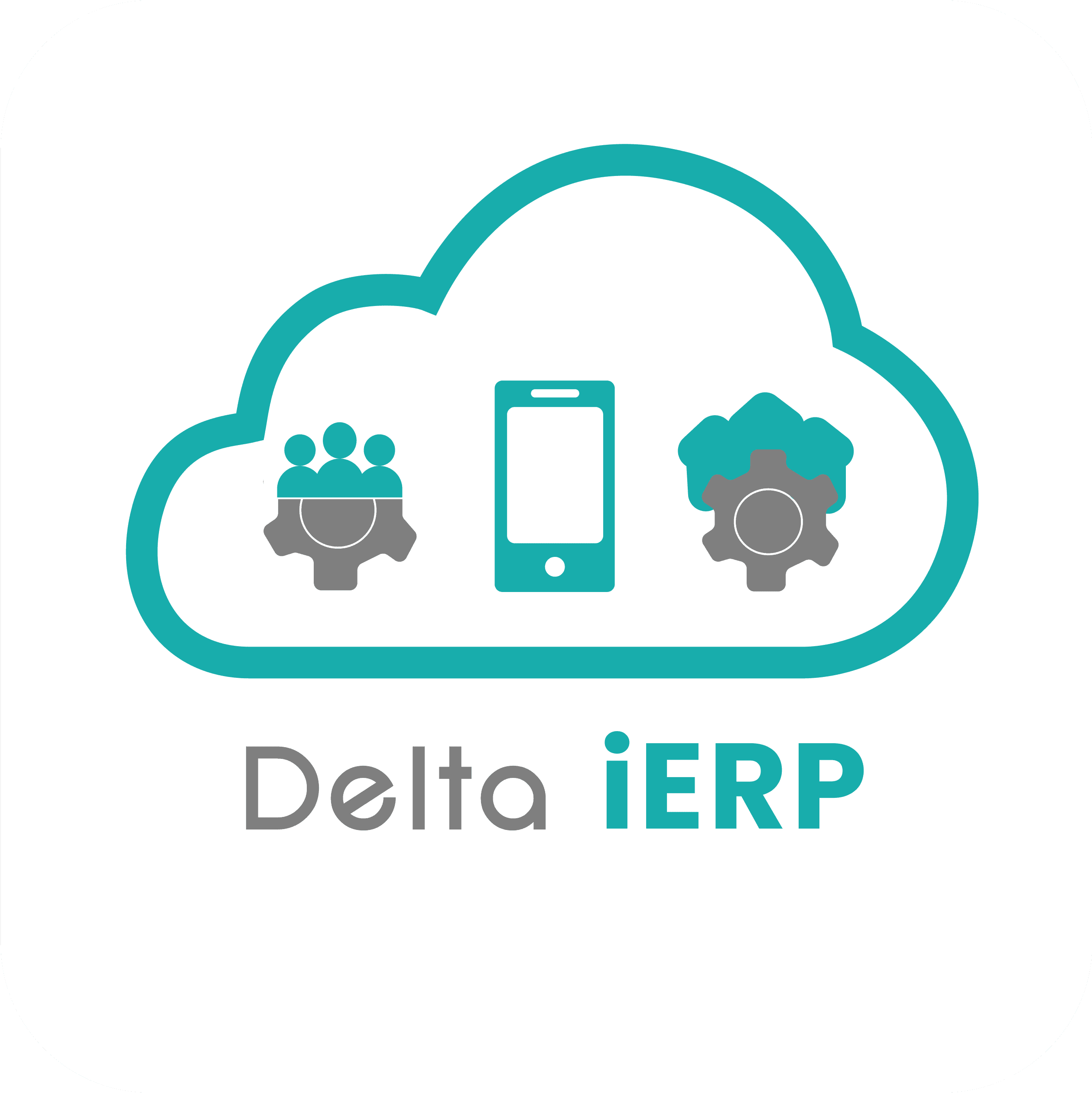 iERP interface